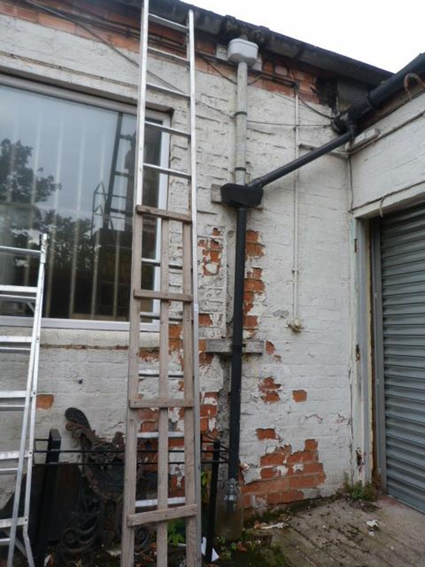 Twelve Tread Aluminium Ladder and a Section of Tre