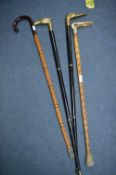 Four Walking Sticks