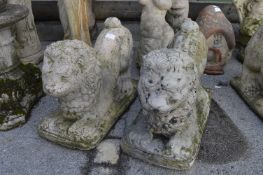 Pair of Lion Garden Ornaments ~2ft Long