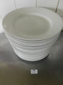 * white plates with lip - 290 diameter x 25+