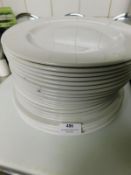 * plates with lip - 260 diameter x 20+
