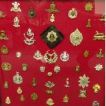 A display of regimental cap and other badges, in a glazed oak frame, 61cm square.