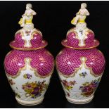 A pair of Meissen porcelain vases and covers, each exquisitely decorated with flowers, with domed