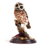 A Country Artists figure group Little Owl, CA398, 23cm H.