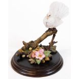 A Country Artists figure group Fantail Dove, CA454, 23cm H.