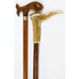 A 20thC walking stick, with carved fish top, plain cylindrical stem, rubber end and metal collar, 89