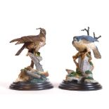 A boxed Country Artists figure group Buzzard, CA680, 18cm H and another Peregrine Falcon. (2, boxed
