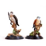 A boxed Country Artists figure Kestrel, on wooden stand, 15cm H and another Osprey CA681. (2, boxed