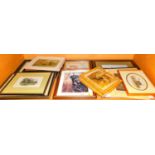 Pictures, prints, plates, book prints, hunting related, Harrier print, etc. (1 shelf)