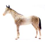 A Beswick model of a dapple grey horse, modelled in standing pose, with gloss finish, possibly model