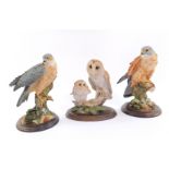 Country Artists raptor sculptures, including a barn owl and chick, and a sparrow hawk, raised on