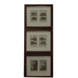 English School (early 19thC). Six studies of fish and amphibians, framed as three hand coloured