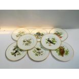 A set of eight Coalport British Birds limited edition cabinet plates, 27.5cm Dia.