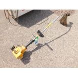 A Partner Colibri petrol strimmer.