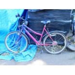 A Freespirit Genesis 15 speed Shimano Revoshift lady's bicycle.