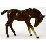 A Royal Doulton pottery foal, front foot raised, head lowered, brown and white colourway, printed