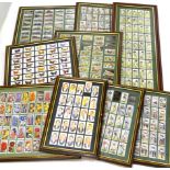 Various framed cigarette cards etc.,. to include Wills Flags of the Empire, the frame 45cm x 30cm,