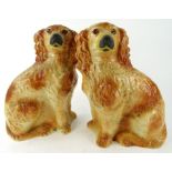 A pair of late 19thC Staffordshire pottery spaniels, each in brown and black colourway, with glass