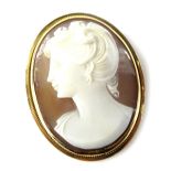 An early 20thC shell cameo brooch, the cameo of a lady facing sinister, in a yellow metal frame,