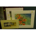 Dorothy Holman (20thC). Poppies, watercolour, signed, 25cm x 32cm and various others by the same