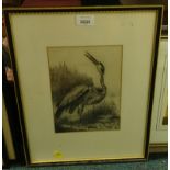 19thC School. Heron catching fish, charcoal and pencil, unsigned, 22cm x 17cm.