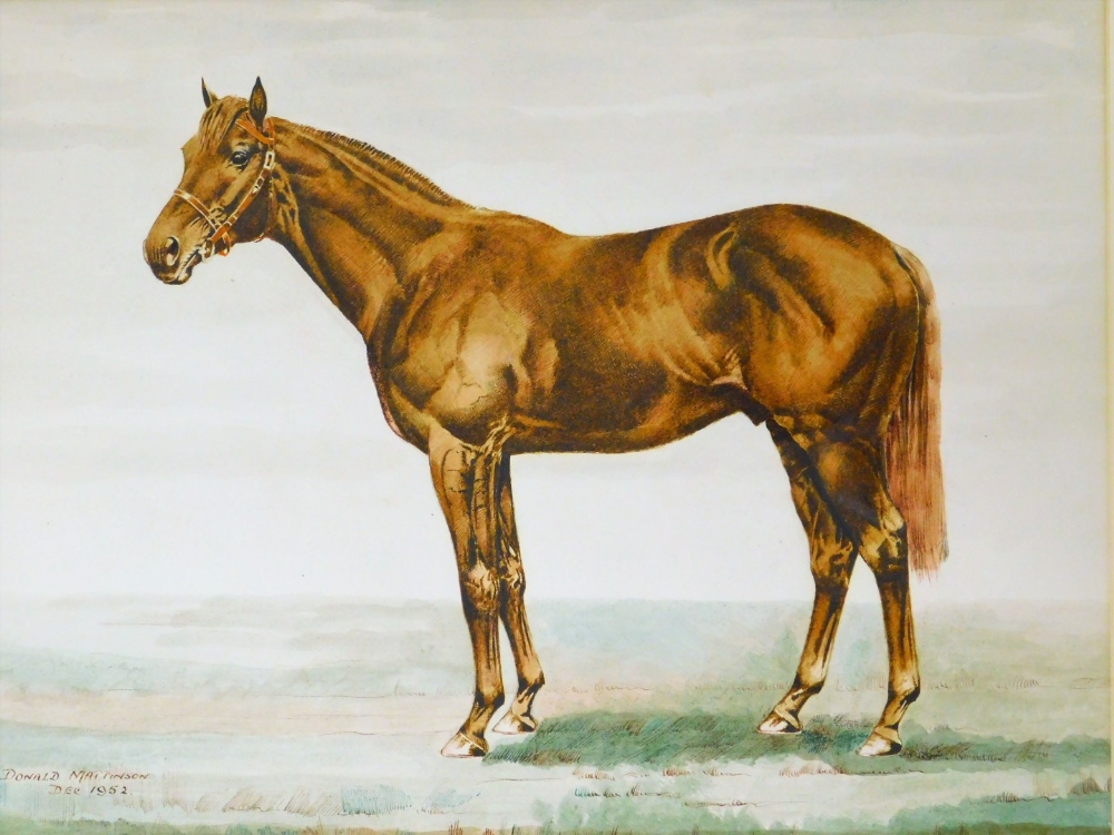 Donald Mattinson (fl. 1952). Racehorse standing, mixed media signed, 35cm x 47cm. (2) - Image 3 of 4