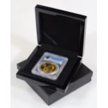 A Pope John Paul II one hundred pound gold coin, in outer case and box.
