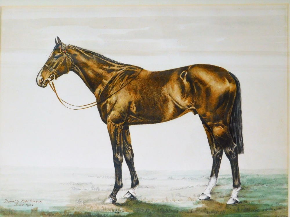 Donald Mattinson (fl. 1952). Racehorse standing, mixed media signed, 35cm x 47cm. (2) - Image 2 of 4