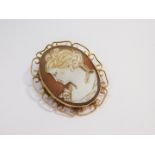 A 9ct gold and shell cameo brooch, bust portrait of a lady, in a 'C' scroll surround.