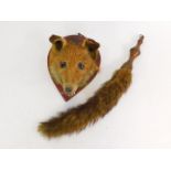 Taxidermy: A Fox's head, shield mounted, together with a fox's tail crumb brush with turned oak