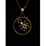 An Edwardian 15ct gold aquamarine and seed pearl set spider pendant on chain, 4.5g.
