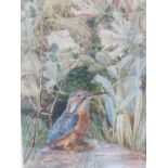 Samuel John Lamorna Birch (1869-1955). Kingfisher, watercolour, signed 'Lamorna Birch',