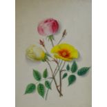 Lucy Sothern (19thC). An album of twenty four watercolours, botanical studies, some signed and dated