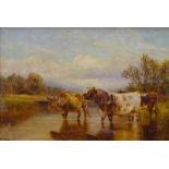 William Vivian Tippett (1833-1910). Cattle at waters edge, oil on canvas, signed and dated (18)84,