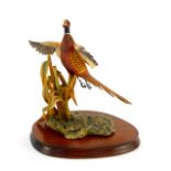 A Border Fine Art sculpture modelled as a rising pheasant, limited edition 90/950, by F. DiVita,