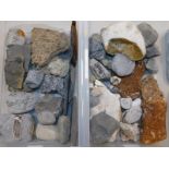 Fossil and rock specimens. (2 crates)
