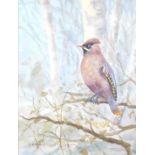 Cecil Thomas Hodgkinson (British, 1895-1979). A waxwing, watercolour, signed, 26.5cm high, 20cm