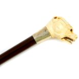 An Edward VII rosewood walking stick, with ivory handle carved as a bulldog's head, silver