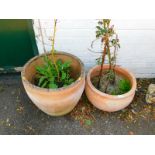 Two terracotta plant pots, large pot 54cm wide, and smaller pot 51cm wide.
