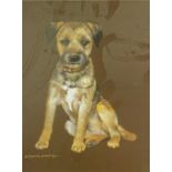 •After Pollyanna Pickering. Border Terrier, print, 37cm x 27.5cm and ten other works.