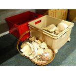 A large quantity of shells, various types, sizes (3 boxes).