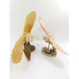 A Border Fine Arts sculpture of a barn owl in flight, B1532., together with a Country Artists