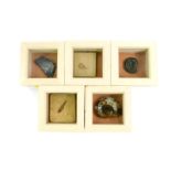 Five fossils and ammonites, framed and glazed, each 11.5cm x 11.5cm frames.