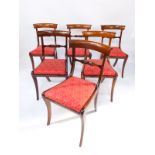 A set of six Regency mahogany single dining chairs, with drop in seats, raised on sabre legs.