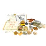 Fossils, replica fossils and prehistoric related ephemera. (1 tray)