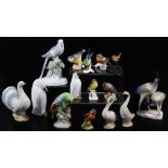 Various bird figure groups, to include Hollohaza Hungary Group, 19cm high, Royal Worcester Nut Hatch