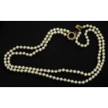 A two row cultured pearl necklace, one row with 70 pearls 5.5mm x 4.7mm, the other with 73 pearls