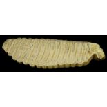 A section of dentine or mammoth ivory, horizontally sliced, 24cm long. Provenance: The Estate of