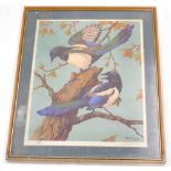 After Ralston Gudgeon (1910-1984). Magpies, artist signed limited edition coloured print, No. 15/