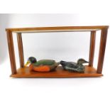 An oak framed taxidermy case, with glass sides, front and top, 66cm wide, 16cm deep, 35cm high,